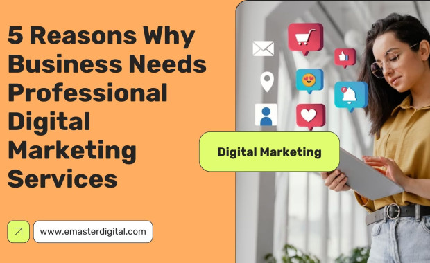 5 Reasons Why Business Needs Professional Digital Marketing Services